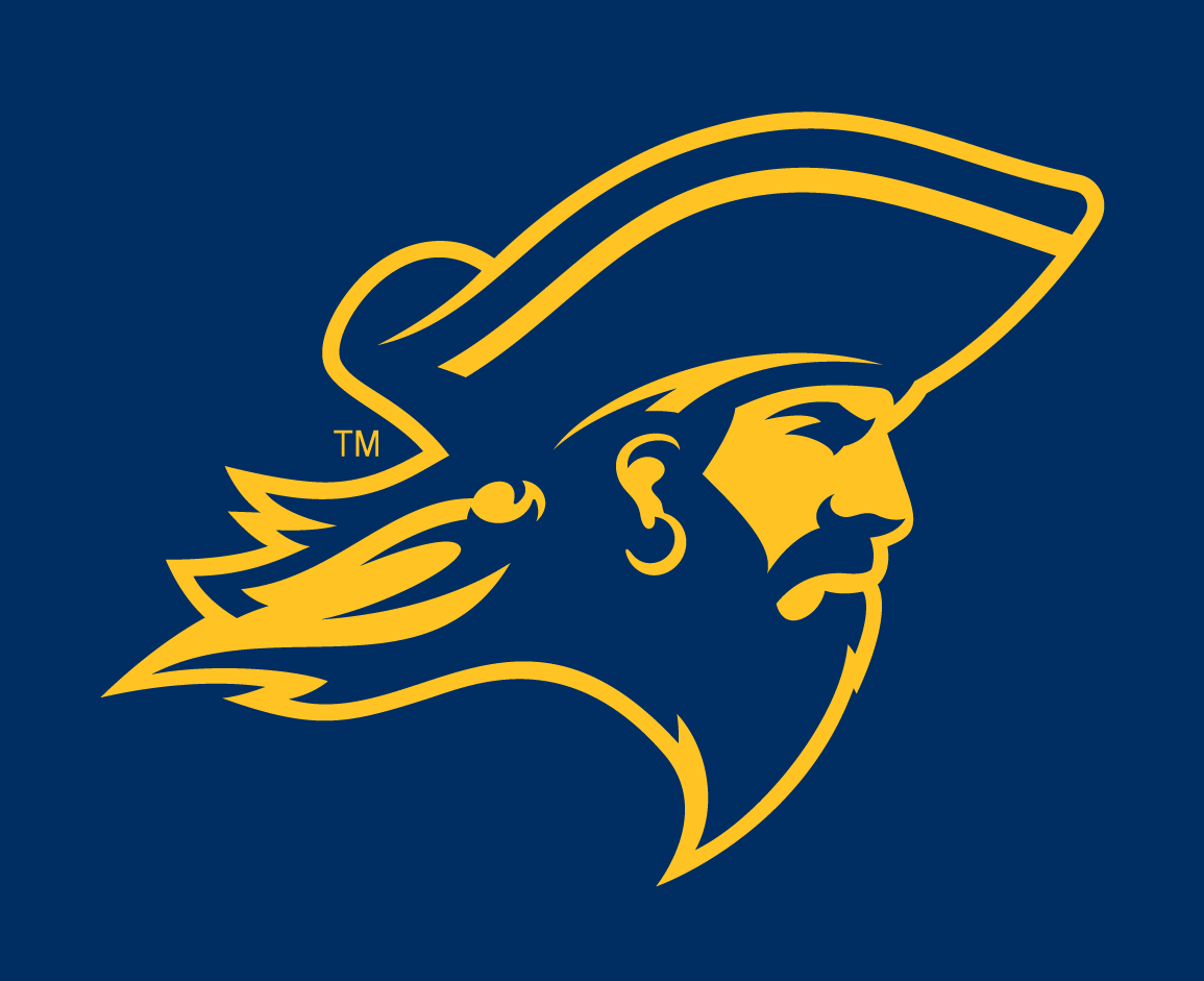 ETSU Buccaneers 2014-Pres Partial Logo v4 iron on transfers for T-shirts